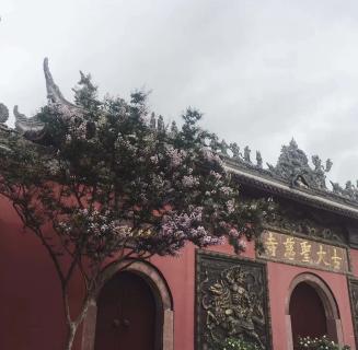 名人堂：助力公益活动建设，实现经济效益与社会效益的双赢！